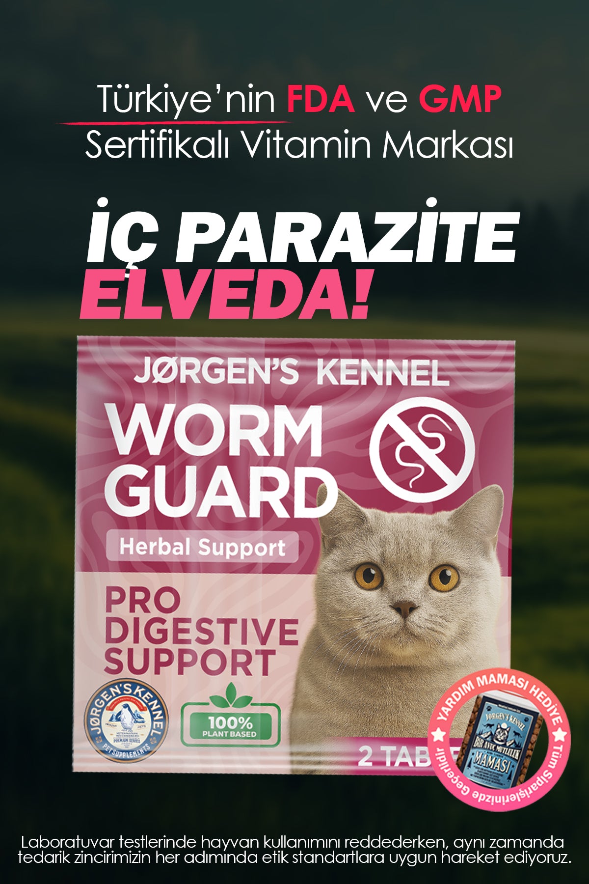 (Yeni Ürün 15 Gün Teslim) Kediler İçin İç Parazit Tableti & Hapı (2 Adet) – %100 Bitkisel Formül - Jorgen's Kennel