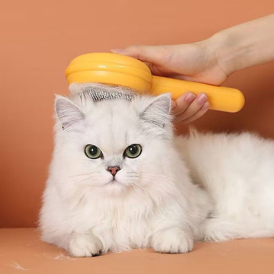 Kedi-Tüy-Dökmemesi-İçin-İlaç-var-mı Jorgen's Kennel