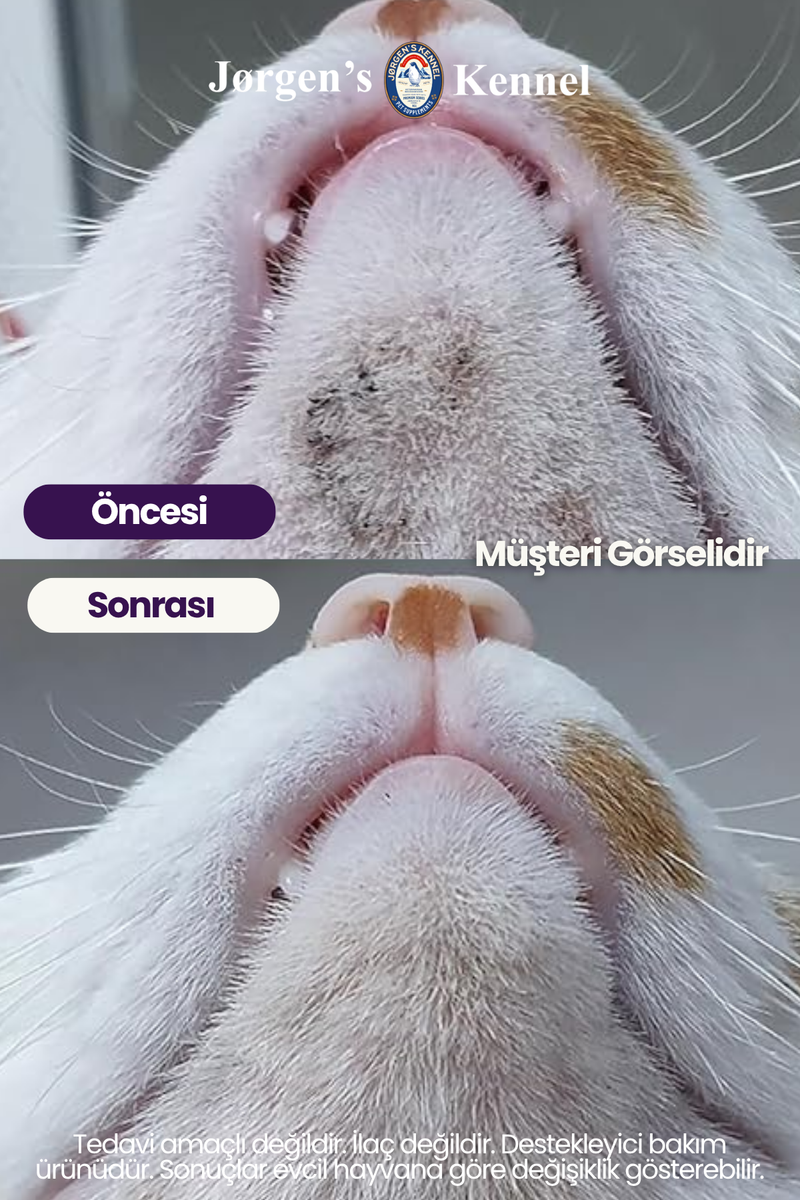 Kedi Çene Aknesi Siyah Nokta Görünümü ve Yüz Temizleme Kaşıntı Bakım Spreyi 100 ml