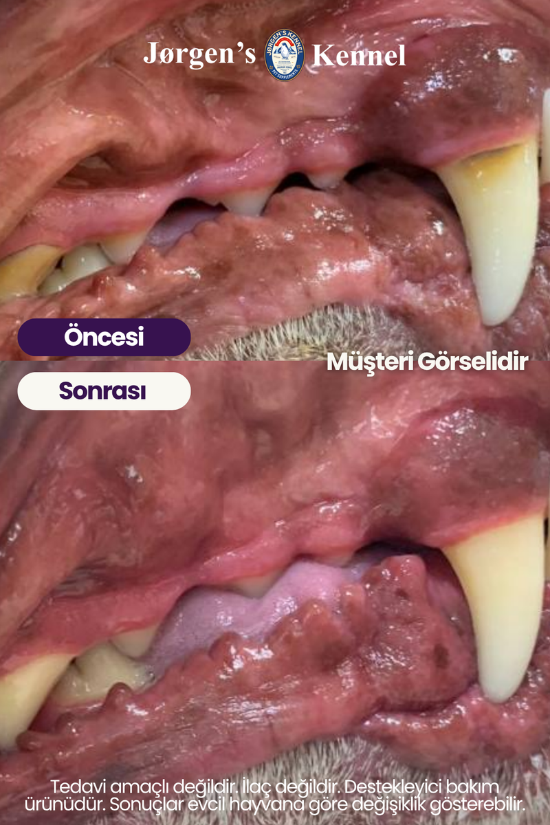 Köpek Ağız ve Diş Bakım Spreyi 100 ml Ağız Kokusu Giderici Diş Temizleme Plak Tartar Diş Eti Desteği