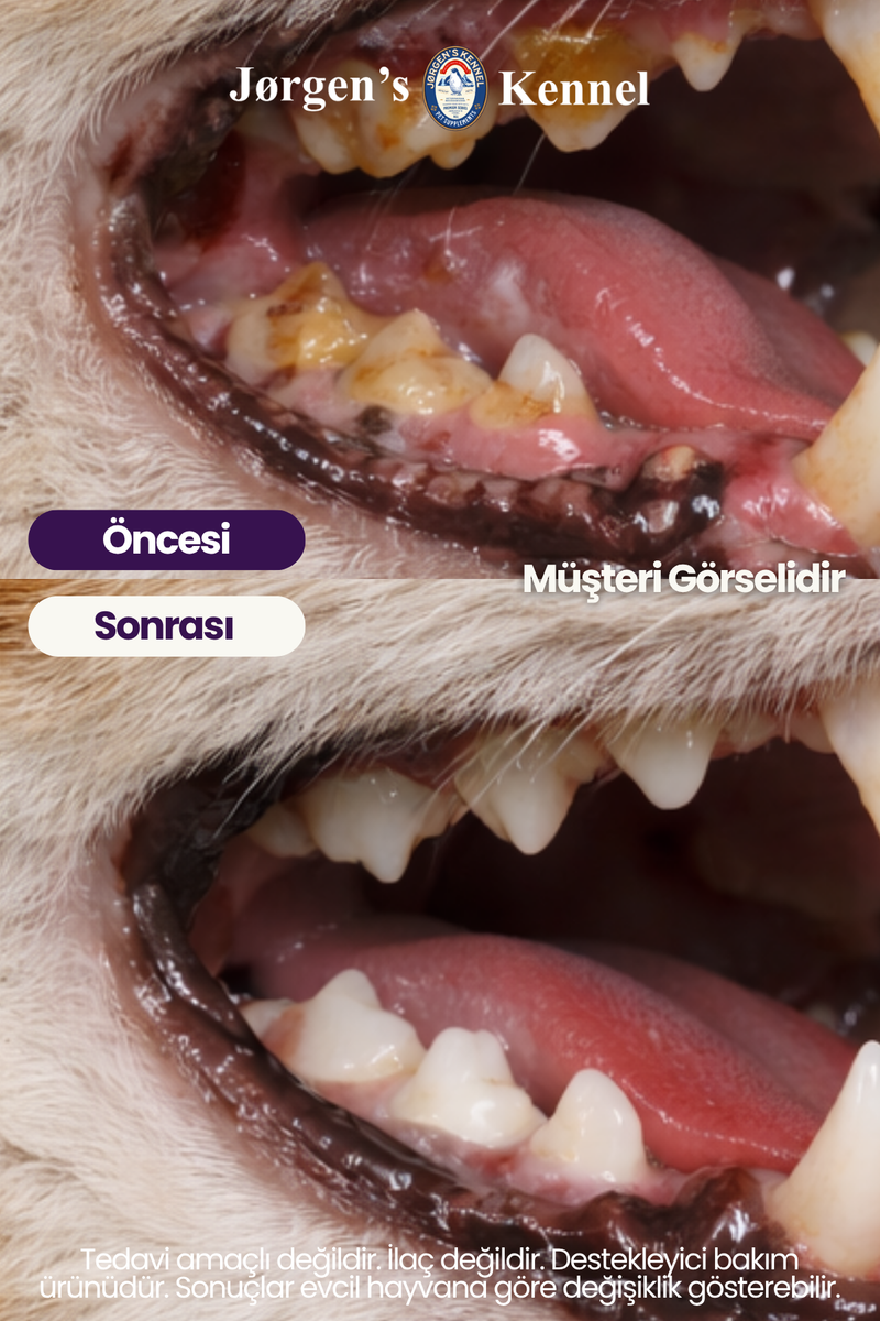 Kedi Ağız Diş & Diş Eti Yara Bakım Sprey 100ml Ağız Kokusu Giderici Diş Temizleme Plak Tartar Destek