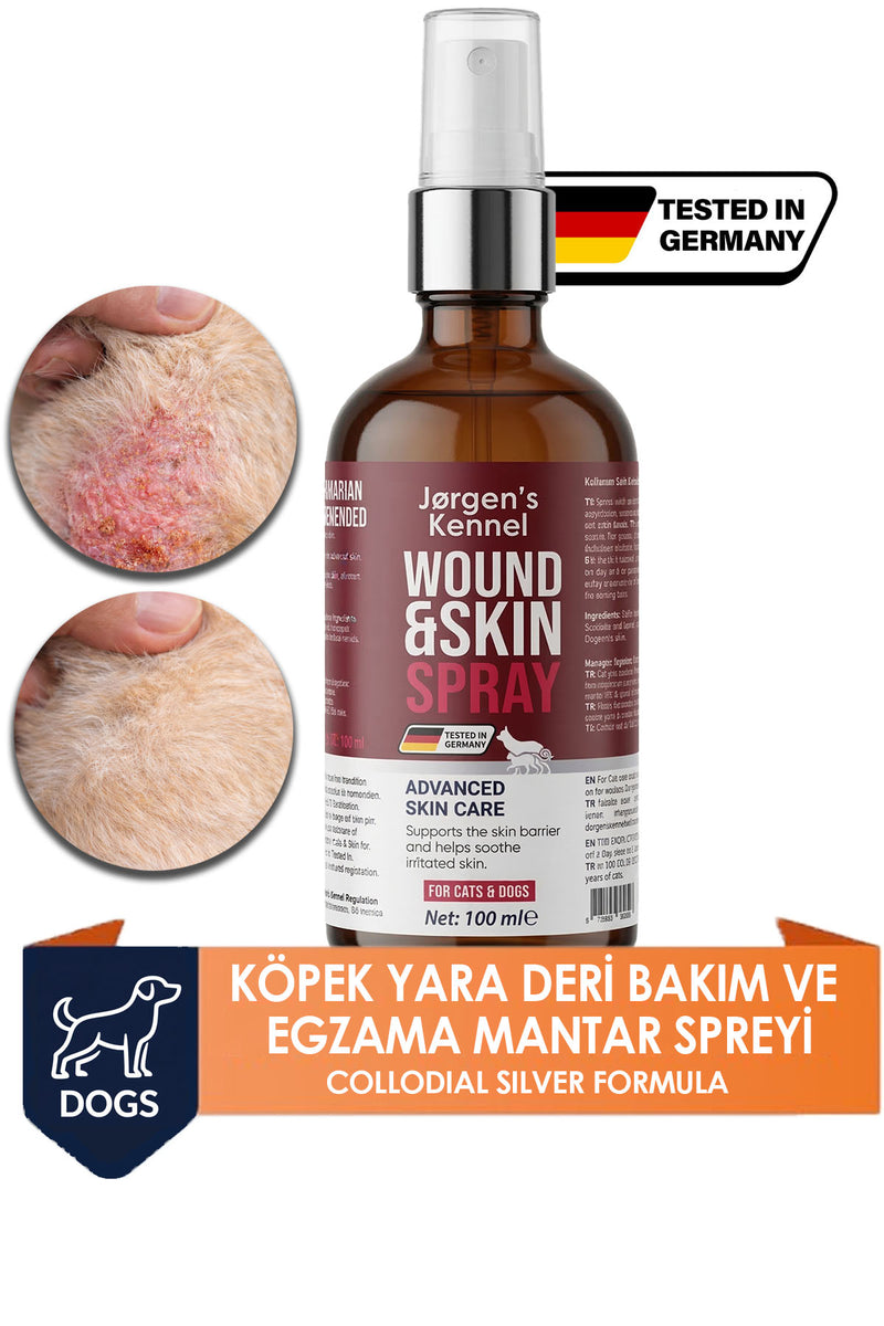 Köpek Yara ve Deri Bakım Spreyi Egzama Mantar Karşıtı Kaşıntı Tahriş Cilt Bakım Desteği 100 ml