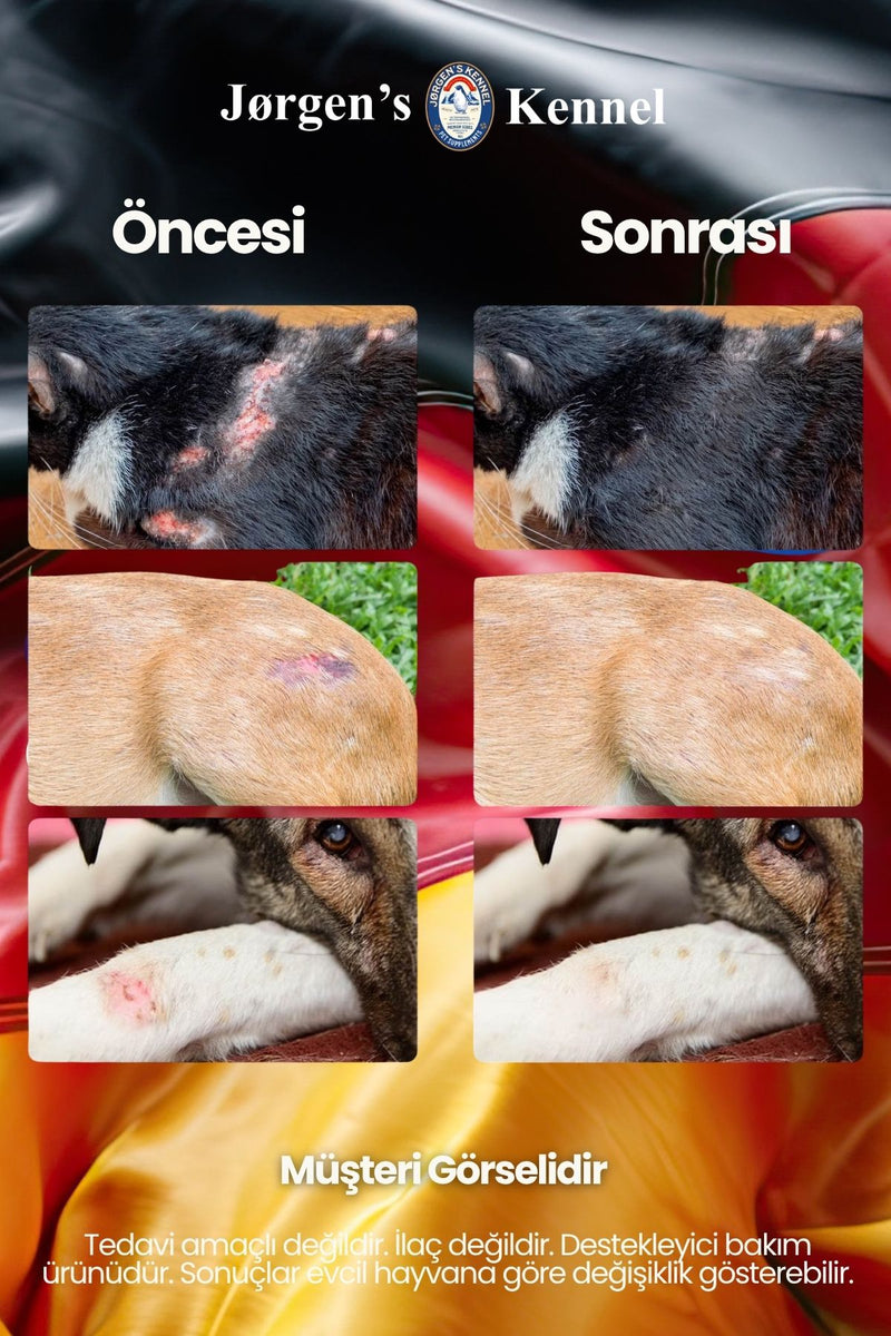 Köpek Yara ve Deri Bakım Spreyi Egzama Mantar Karşıtı Kaşıntı Tahriş Cilt Bakım Desteği 100 ml