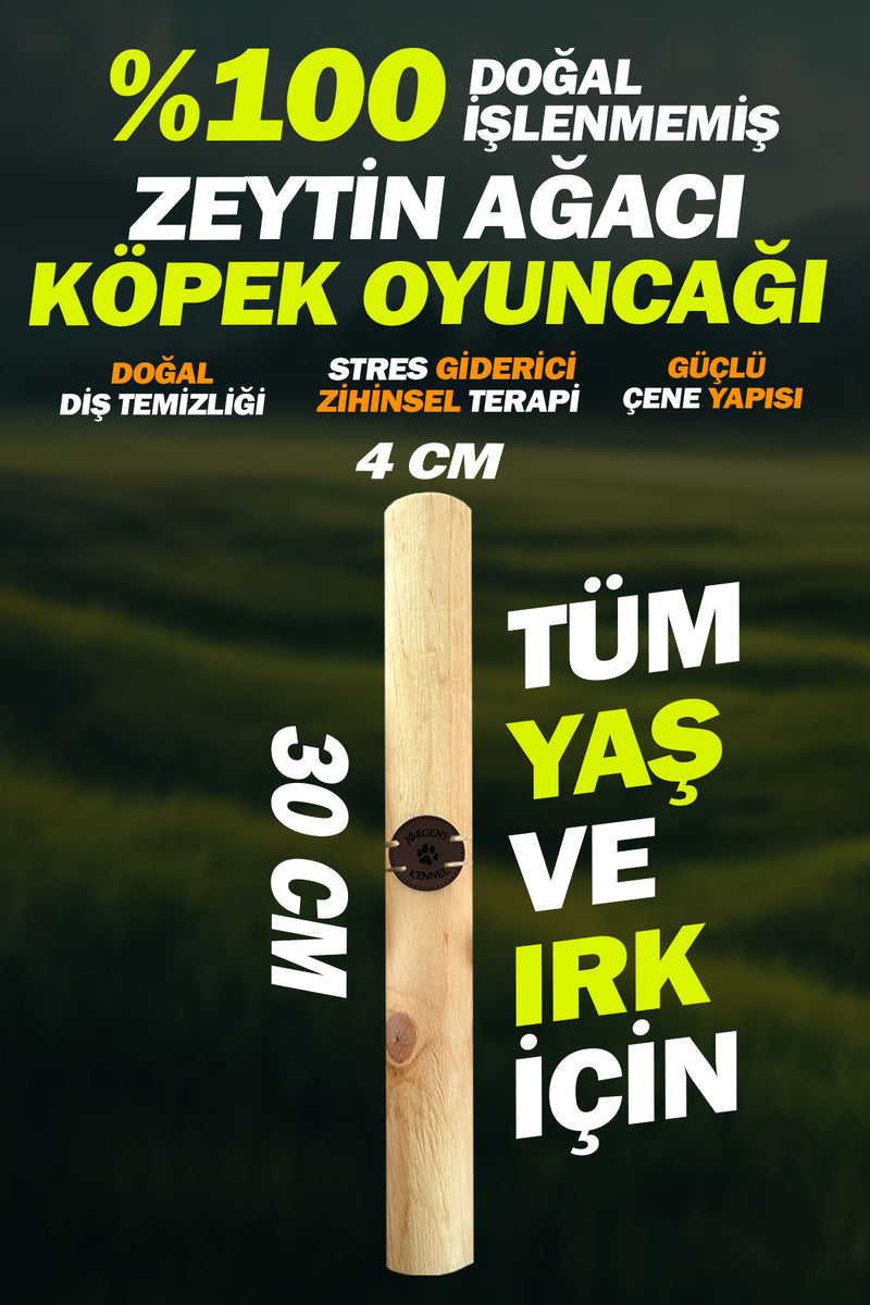 %100 Doğal Zeytin Ağacı Küçük Orta Büyük Irk Köpek Diş Kaşıma ve Kemirme Oyuncağı